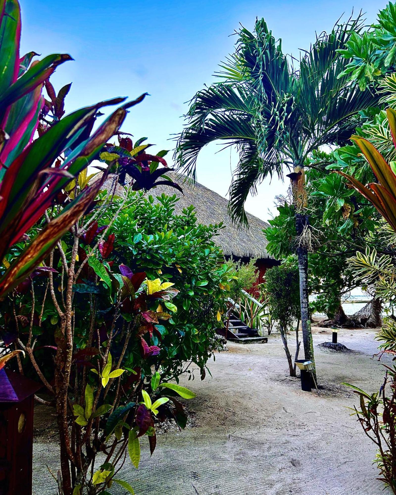 Eden Private Island Tahaa Hotel Patio  Kültér fotó